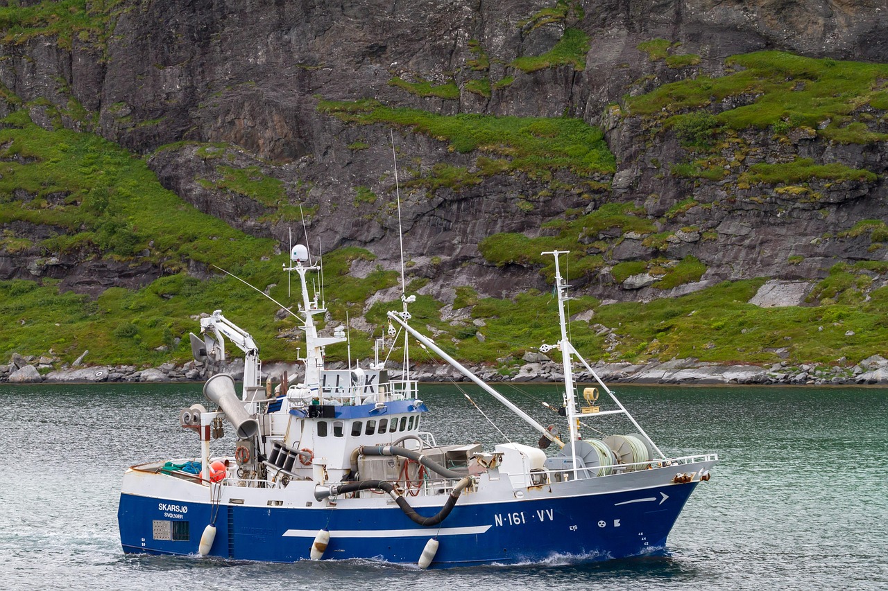 trawler, sea, fjord, norway, fishing vessel, sleet, shipping, vessel, travel, trawler, trawler, trawler, nature, trawler, trawler